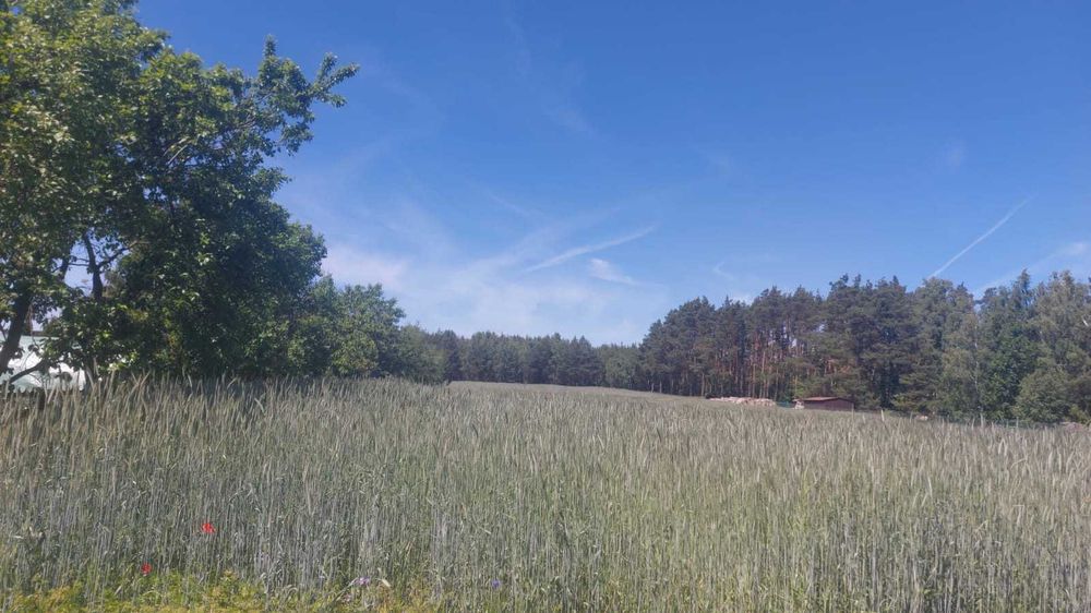 Działka na sprzedaż Mierzyce