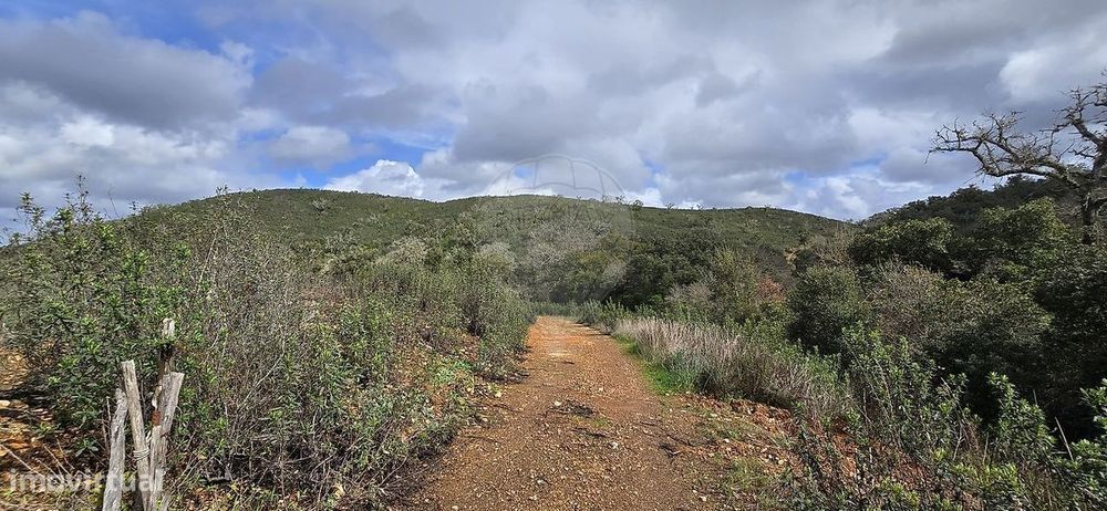 Terreno  para venda
