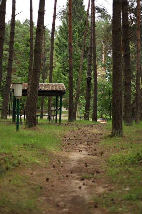 База відпочинку у сосновому лісі 50км від Львова