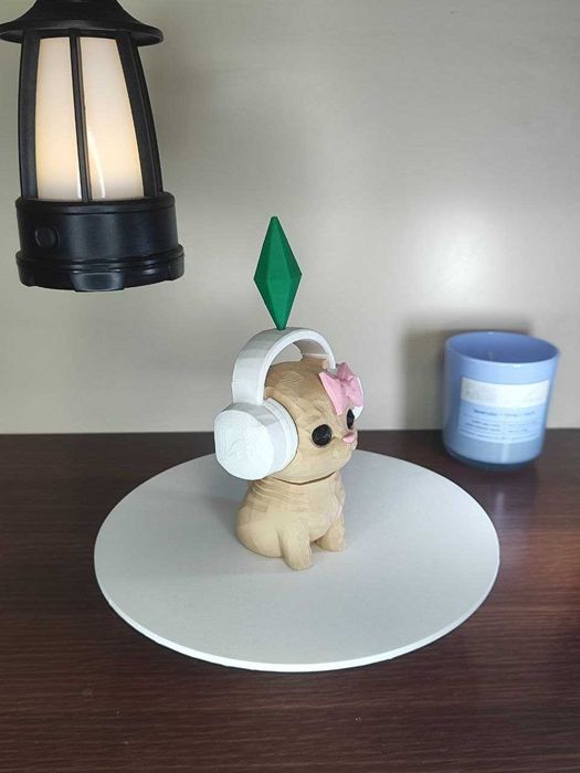 Котик башкотряс з Сімс