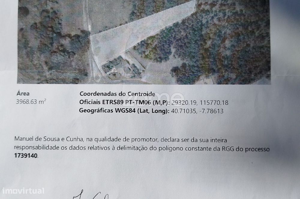 Terreno com pinhal e e mato a 15 minutos de Viseu
