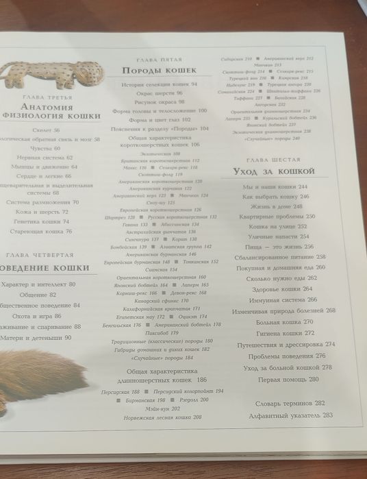 Брюс Фогл Кошки ( энциклопедия)