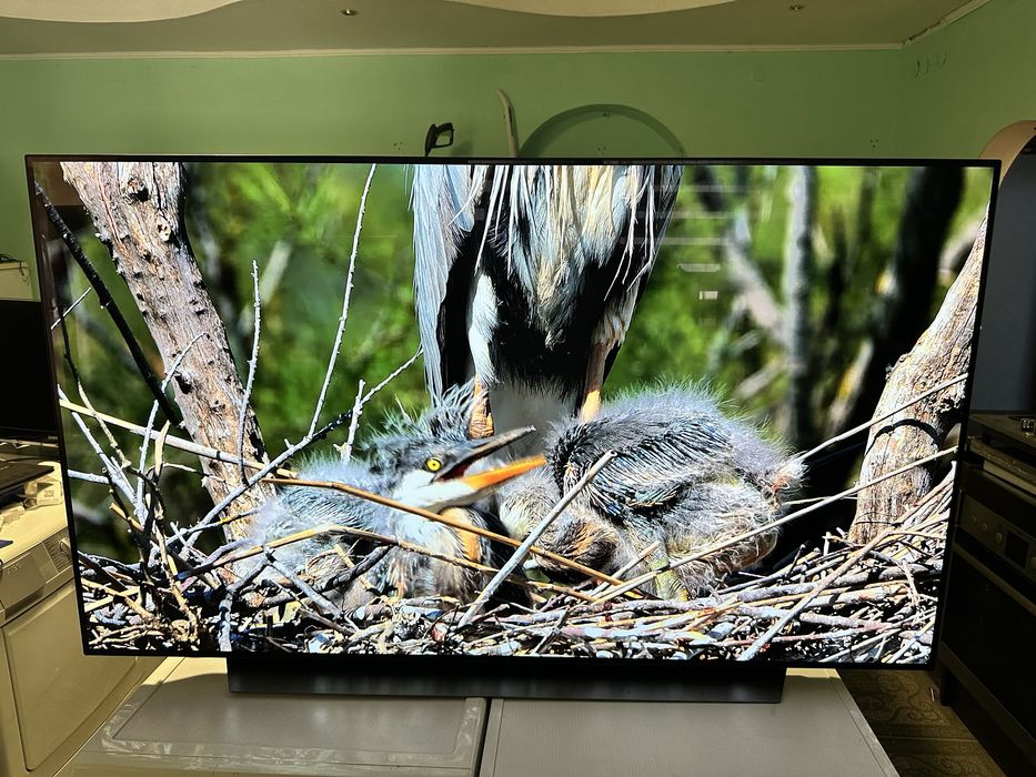 LG OLED65CX9LA – 65” OLED 4K Smart TV