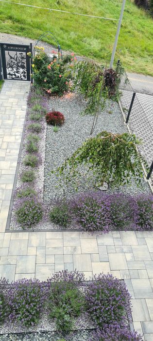 Domek rys Widokowa Ujsoly