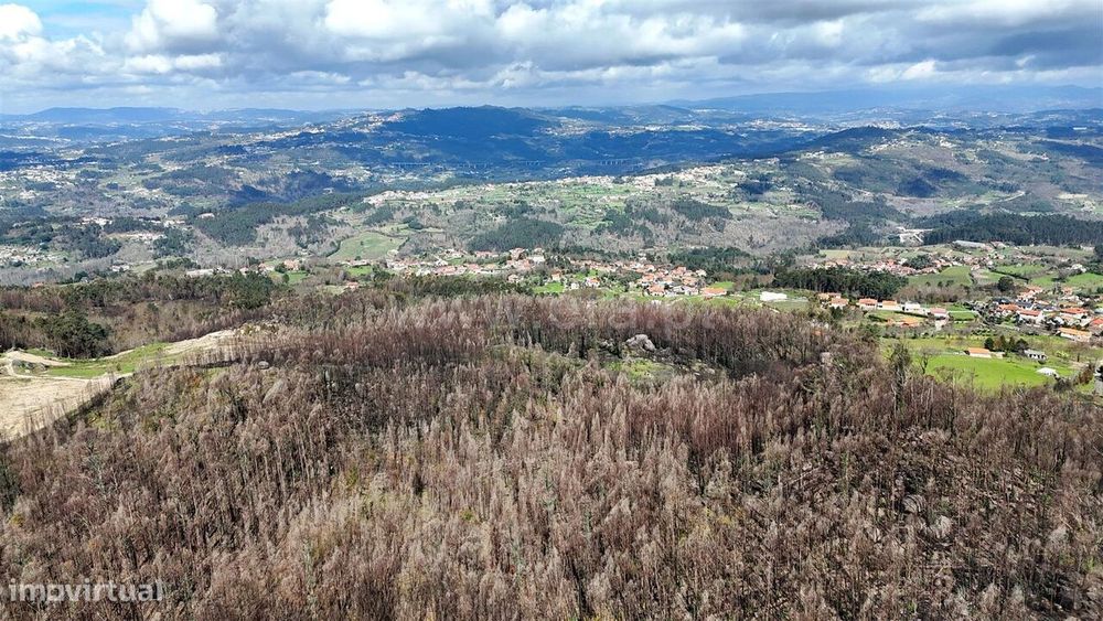 Terreno / Marco de Canaveses, Várzea, Aliviada e Folhada — Várzea, Aliviada E Folhada, Porto