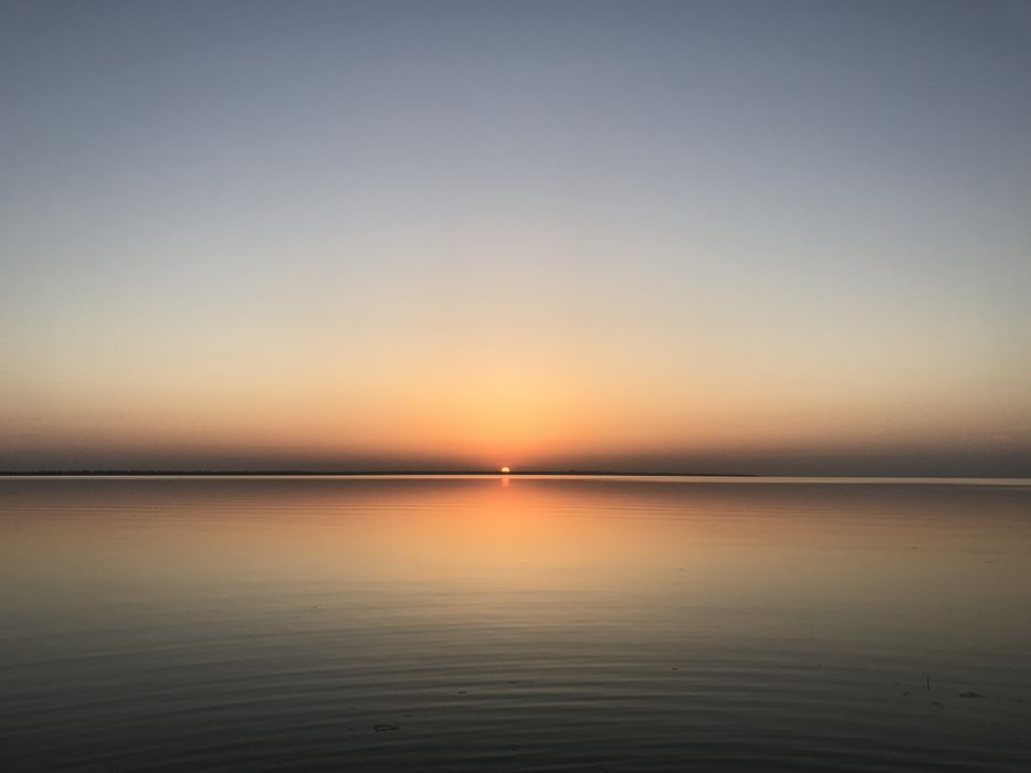 Сдам номера, комнаты у моря , первая линия.