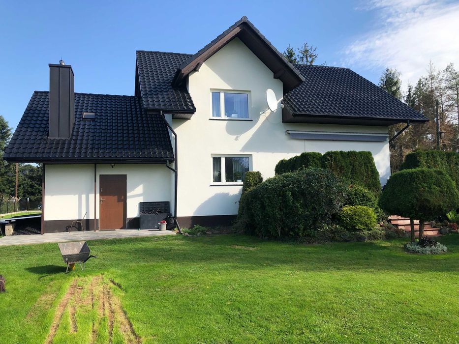 Malowanie Dachów Malowanie Elewacji Wymiana rynien, Kominy