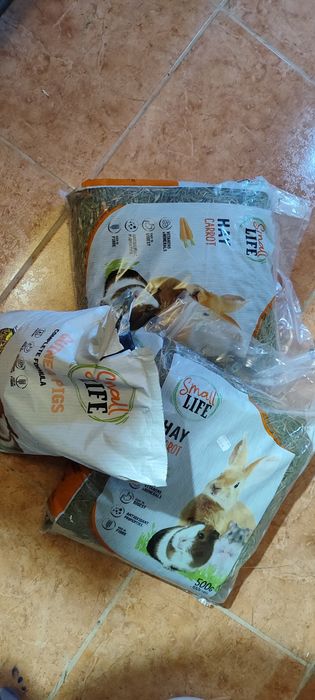 Gaiola/ casota para porco da Índia ou hamster