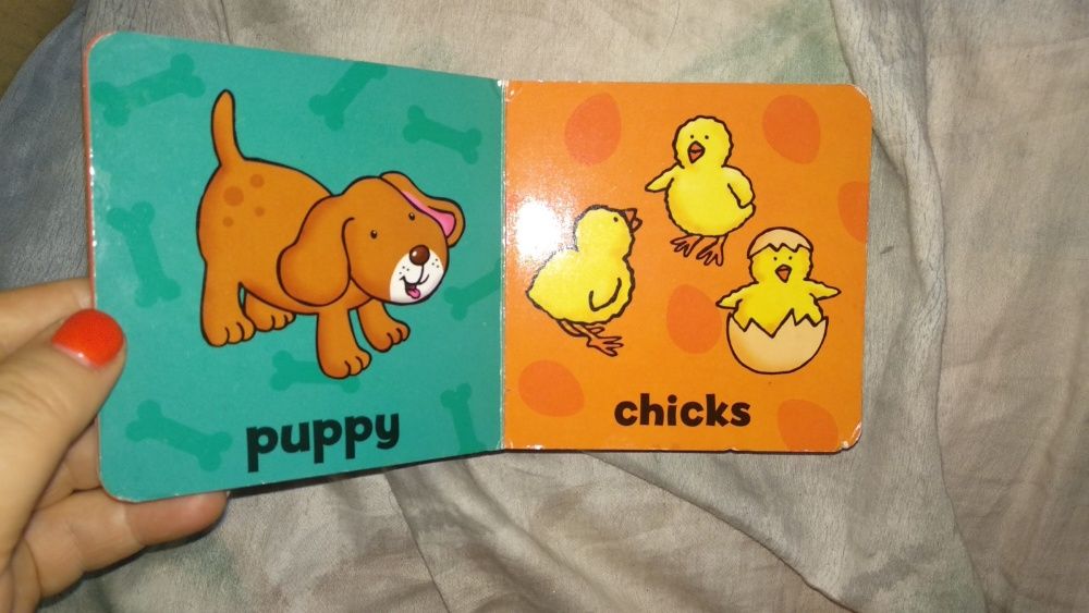 детская книга на английском цветная дети животных Animal babies