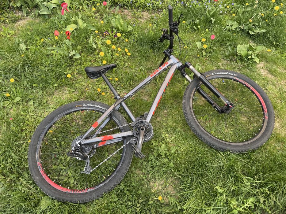 Rower Kellys whip 50