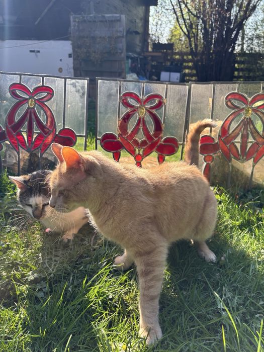 Witraże szklane - rękodzielo