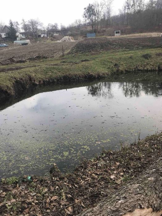Продам ділянку під забудову Шкарівка, 7,5 сотки