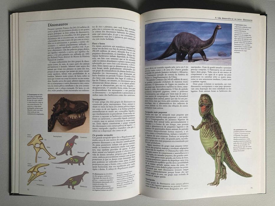 A Vida: um mistério ao alcance da ciência