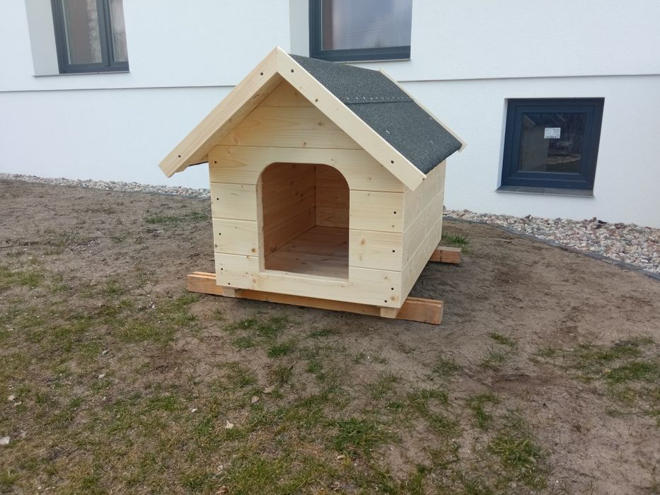 Duża nowa buda dla psa