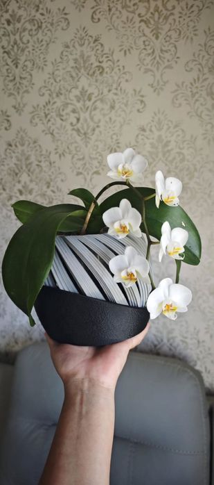 Vaso de orquídeas personalizadas