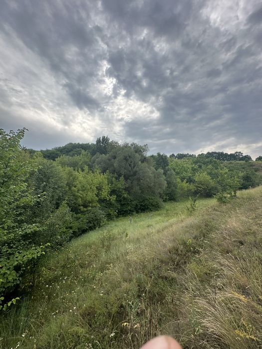 Земельна ділянка Березова 1 ГА