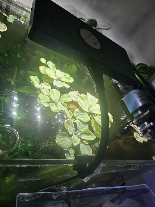 Calha luz para aquario mini 9 pro week Aqua