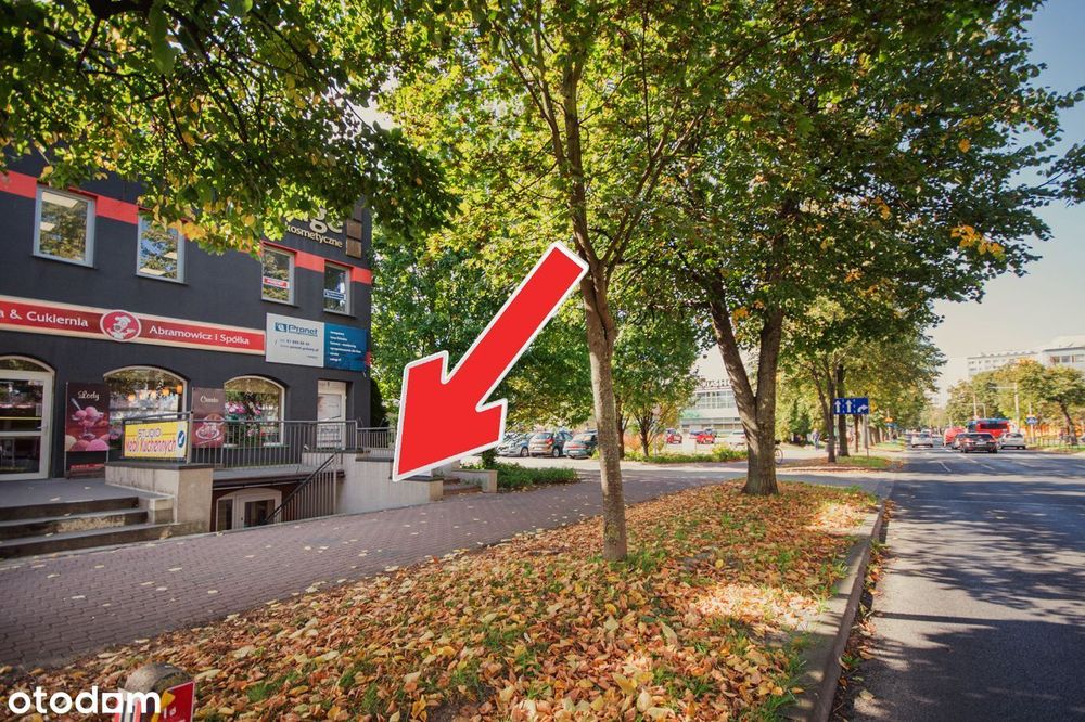 Lokal do wynajęcia, ul. Centralna, Puławy