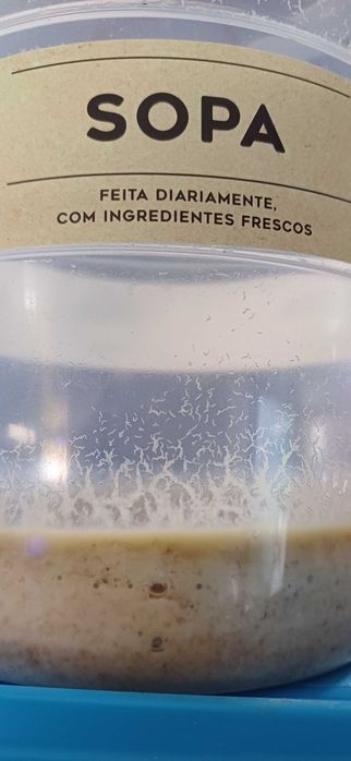 Microvermes da aveia