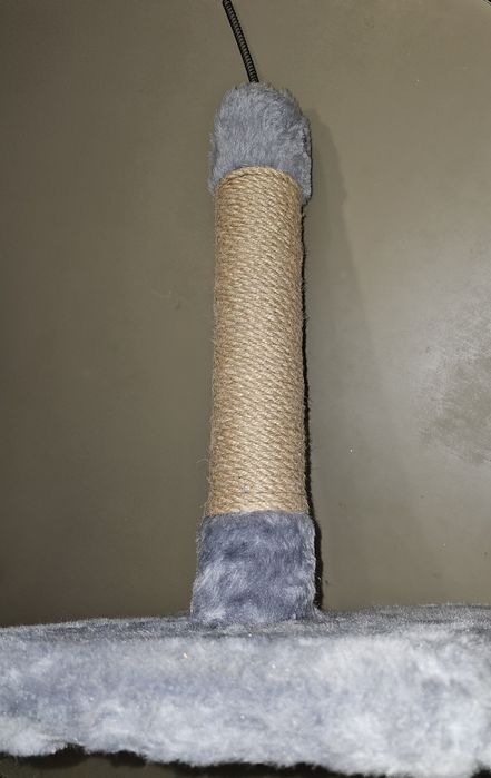 Когтеточка для котов