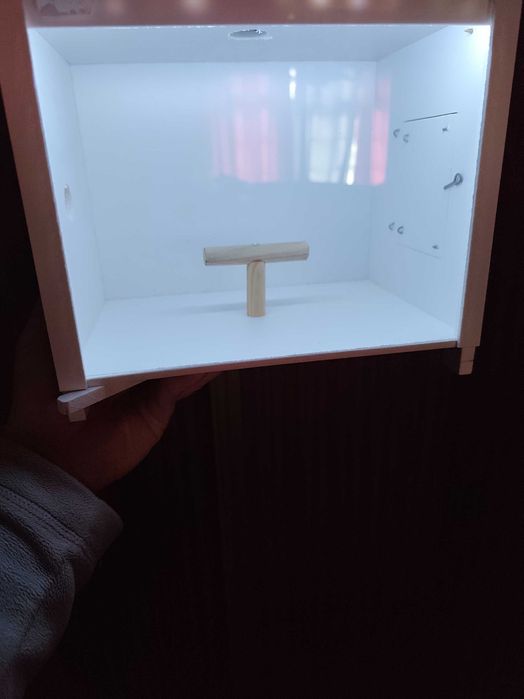 Estúdio fotográfico para Aves