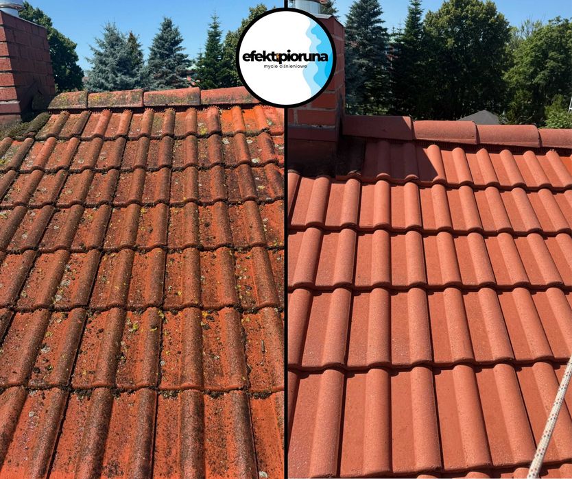 Mycie - Malowanie - Impregnacja elewacji/ dachów/ kostki brukowej