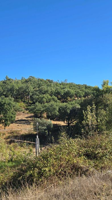 Terreno de  9 hectares com muitos sobreiros - Tramaga