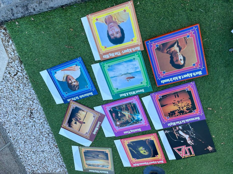 Discos Vinil diversos