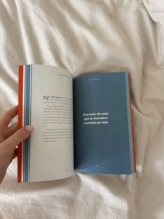 livro nunca desistas de ti de susana teixeira