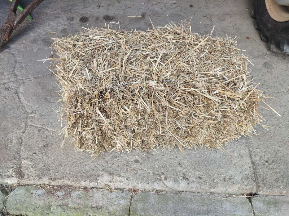 Słoma w kostkach - KOSTKI