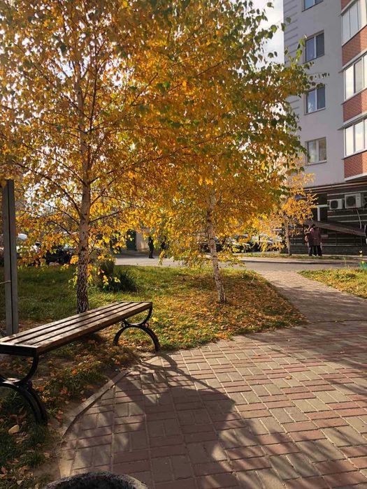 Аренда помещения 46м с отдельным входом. Хотов.