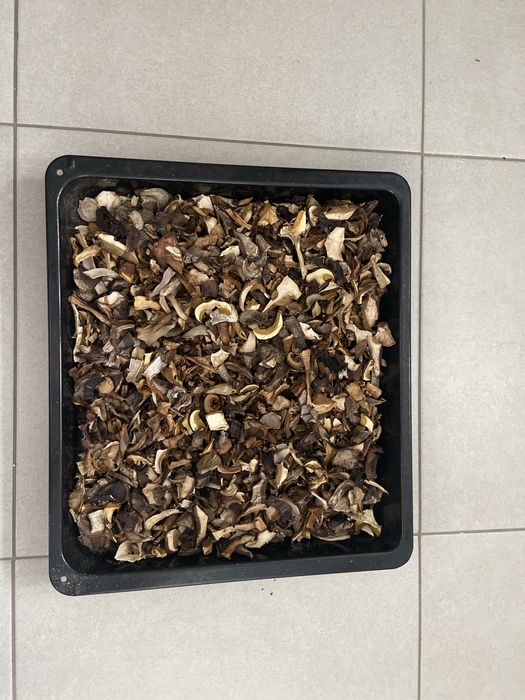 grzyby suszone tegoroczne