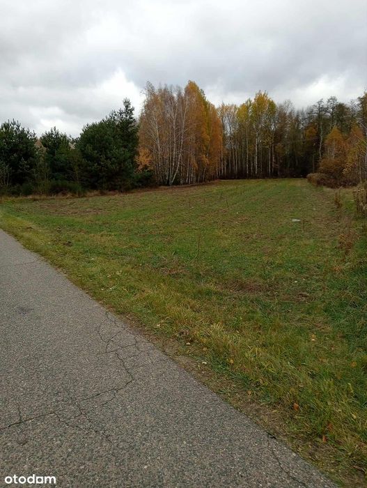 Działka budowlana 2750 m² – blisko Siedlec - Widok 4