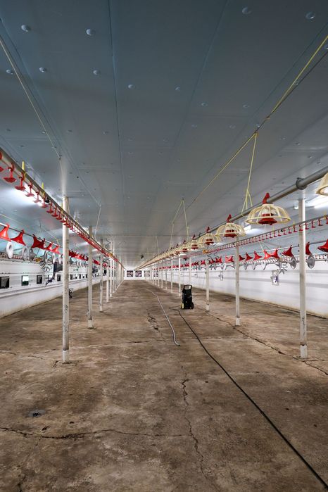 Ocieplenie Dachu Kurnika Obory Chlewni Podbitka Styrodur XPS AGRO