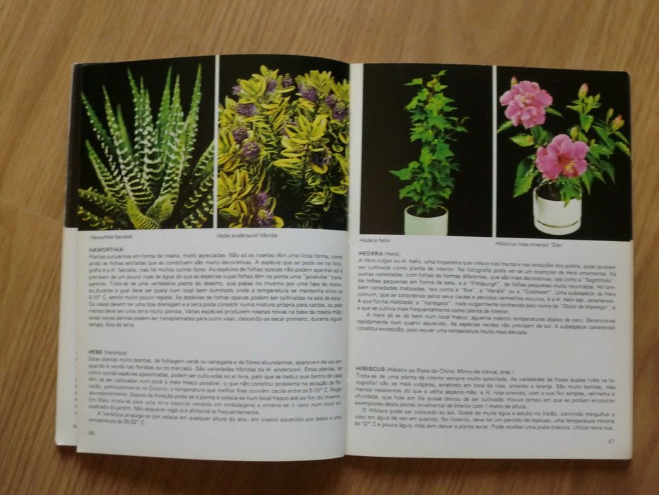 Plantas de Interior de Rob Herwig