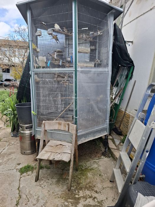 Venda de viveiro pássaros