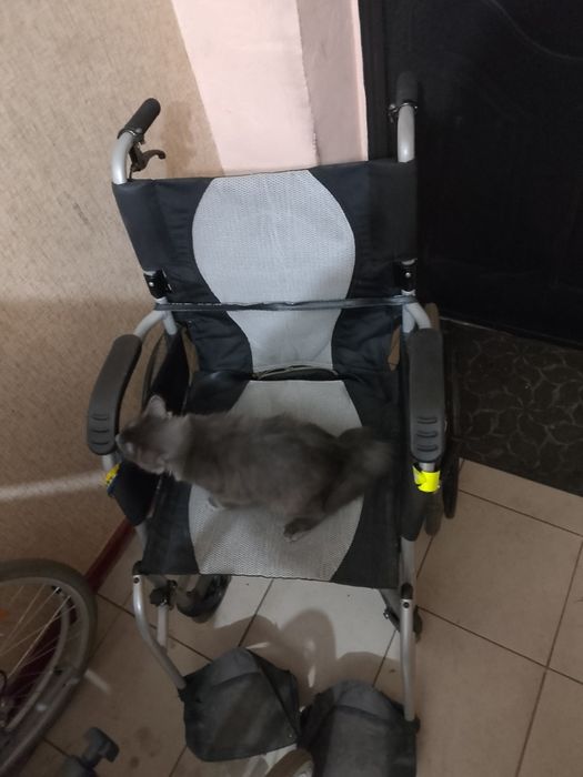 Коляска взрослая