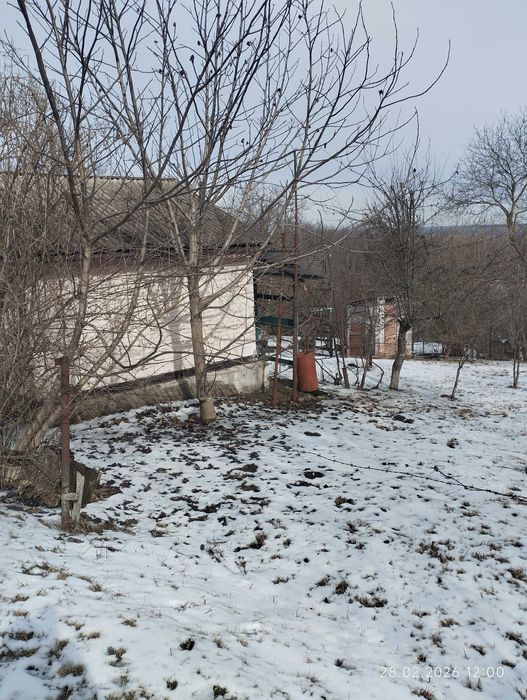 Затишна дача на 7 сотках – ідеальне місце для відпочинку