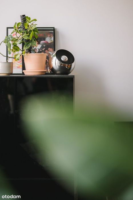 Saska Kępa | Wyjątkowe 42 m² z widokiem na zieleń | Ul. Wersalska