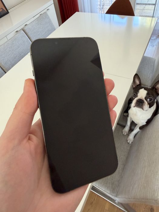 Iphone 13 PRO 256 GB