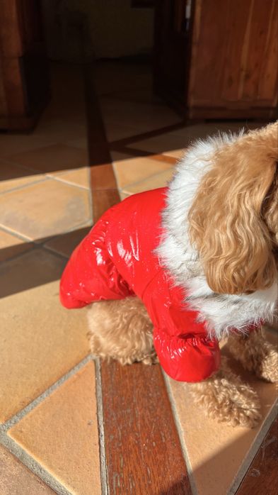 Зимняя курточка на меху для хвостика