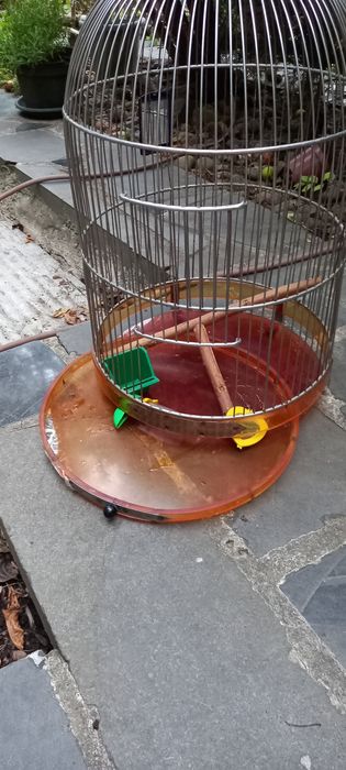 Большая клетка из нержавейки