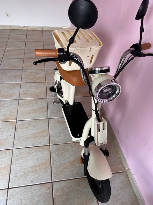 Trotinete grande