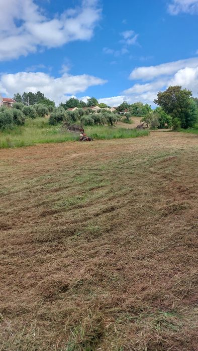 Limpeza e desmatação de terrenos