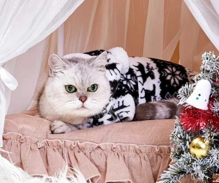 Комбінезон плюшевий для цуцика