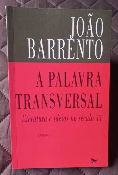A Palavra Transversal - João Barrento