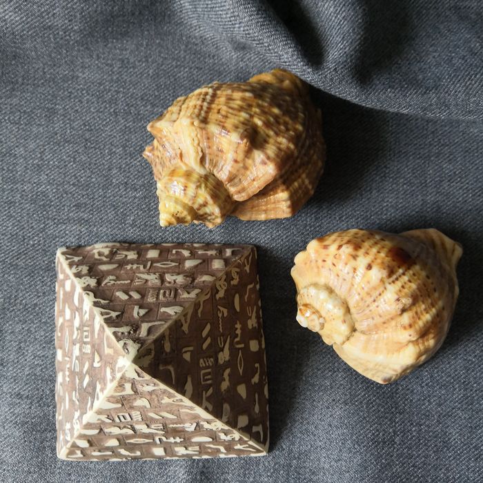 Piramida egipska, amfora, muszle rapana venosa