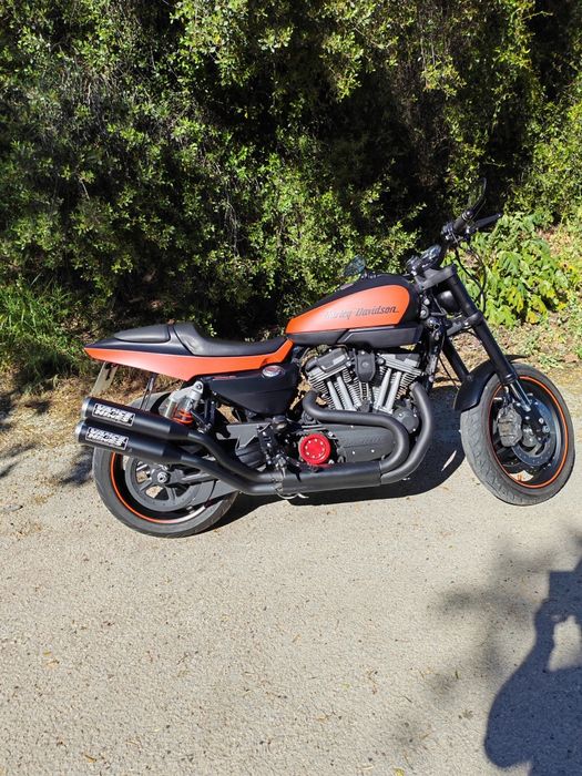 Harley Davidson XR1200X  FREE SPIRITS de 2011 19 mil km