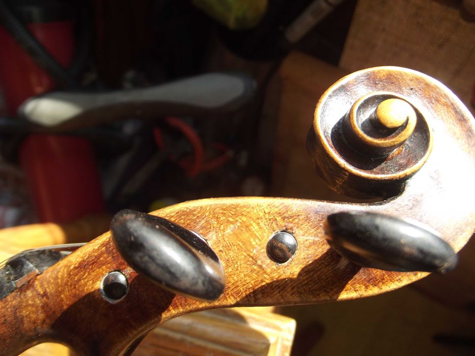 Altówka 407 markowa