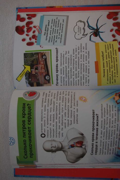 Путеводитель по телу человека. Вопросы и ответы